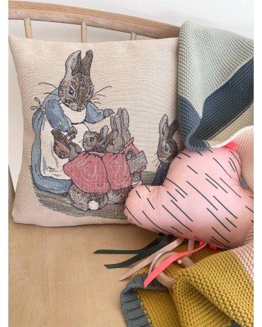 Pierre Lapin de Beatrix Potter - Housse de coussin décoratif Yapatkwa coussins décoratifs pour canapé salon deco original suisse