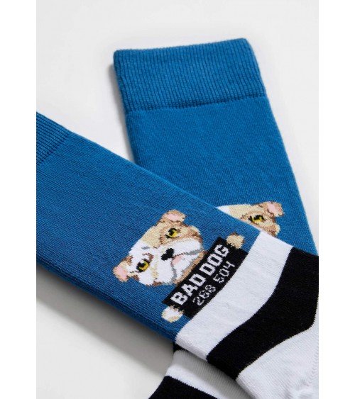 BeBadDog - Chaussettes fantaisie en coton bio - motif Chien Besocks calendrier de l avent chaussettes jolies chausset pour ho...