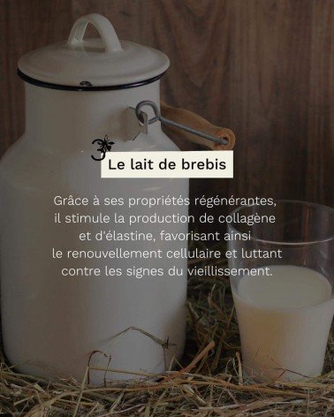 Lait de brebis & miel - Savon solide naturel Saly Savons artisanal pour les mains le visage le corps savons artisanaux luxe