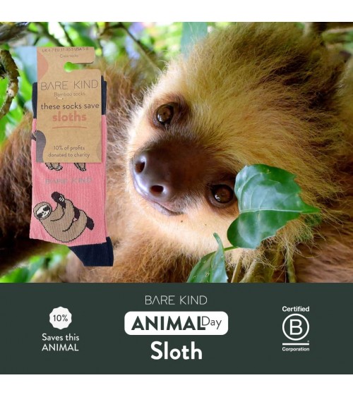 Save the Sloths - Bamboo Socks Bare Kind funny crazy cute cool best pop socks for women men