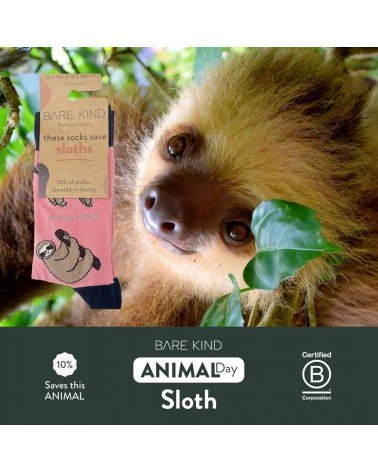 Save the Sloths - Bamboo Socks Bare Kind funny crazy cute cool best pop socks for women men