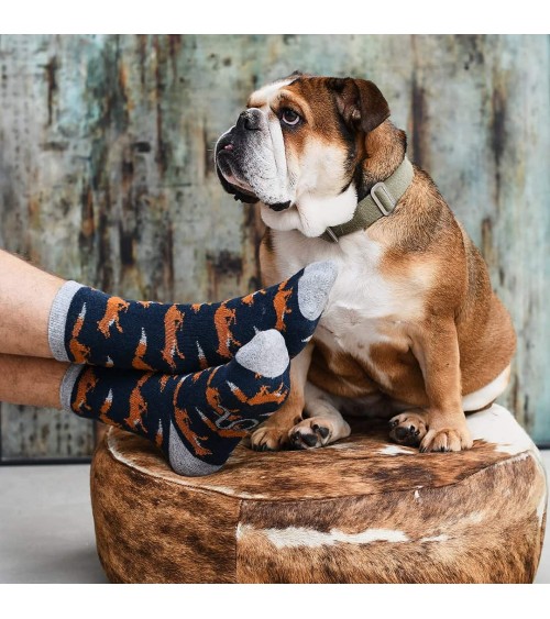 Fox - Wool socks for men Catherine Tough funny crazy cute cool best pop socks for women men