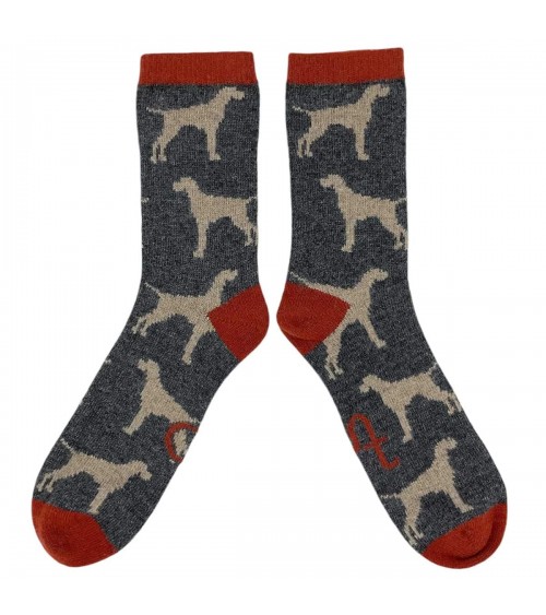 Chiens - Chaussettes en laine pour homme Catherine Tough jolies pour femme originales pour homme chausset rigolotes drole Suisse