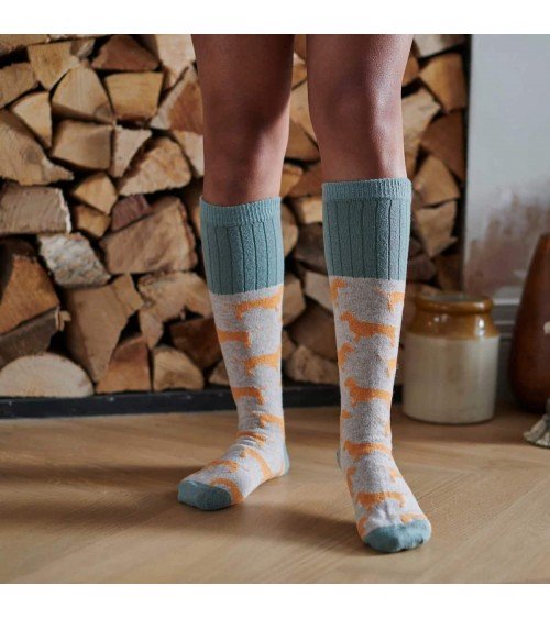 Teckels - Chaussettes hautes en laine pour femme Catherine Tough jolies pour femme originales pour homme chausset rigolotes d...