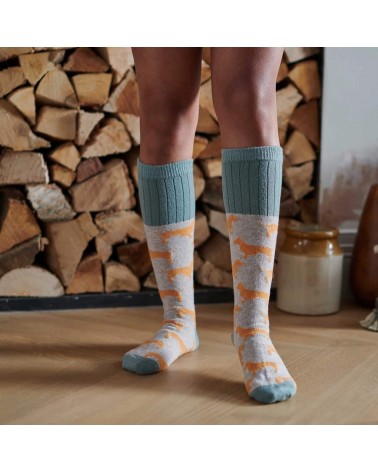 Sausage Dogs - Wool knee socks for women Catherine Tough funny crazy cute cool best pop socks for women men