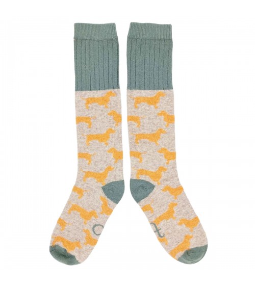 Sausage Dogs - Wool knee socks for women Catherine Tough funny crazy cute cool best pop socks for women men