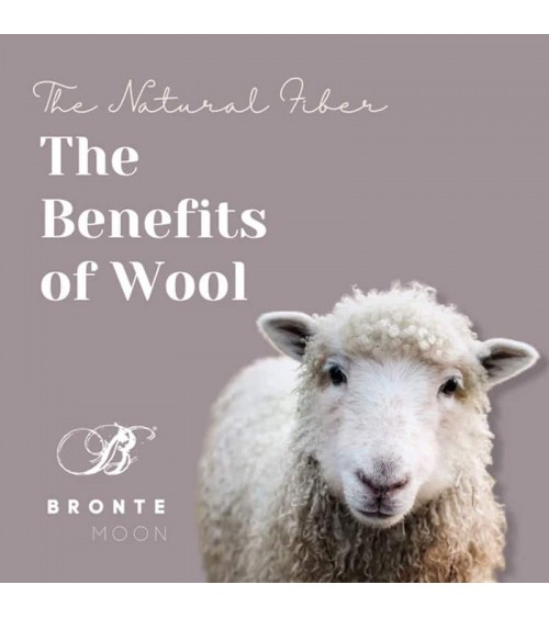 PLAIN Beige - Merino Wollschal, Schal Uni Bronte by Moon Damen Winter Winterschal Herrenschal woll schal mit fransen SChweiz ...