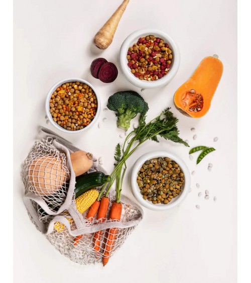 Gesunde Gewohnheiten - veganes hypoallergenes Hundefutter PAWR bestes online bestellen für allergiker schweizer gesundes diät...