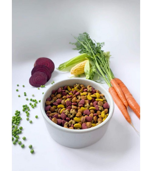 Gesunde Gewohnheiten - veganes hypoallergenes Hundefutter PAWR bestes online bestellen für allergiker schweizer gesundes diät...