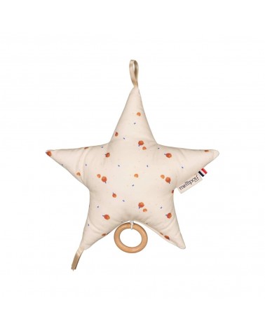 Harry Potter - Stella Nocciola - Carillon per neonati, Peluche musicale Mellipou idea regalo svizzera