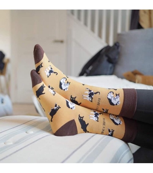 Save the cats - Bamboo Socks Bare Kind funny crazy cute cool best pop socks for women men