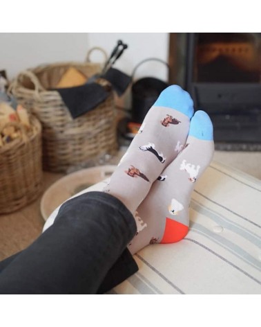 Save the dogs - Bamboo Socks Bare Kind funny crazy cute cool best pop socks for women men