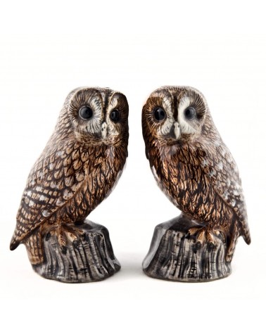 Tawny Owl - Salt and Peppers Quail Ceramics pots set shaker cute unique cool