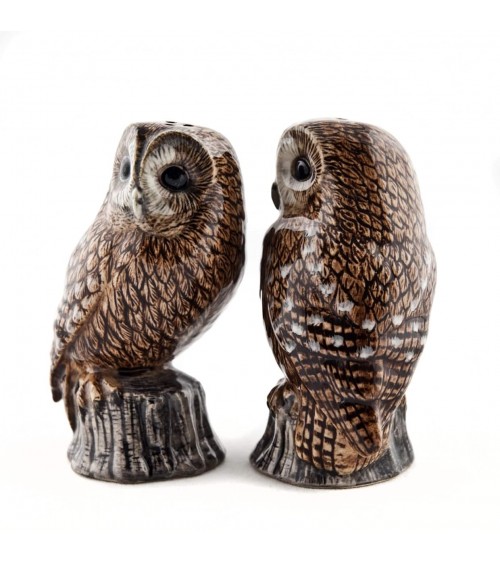 Tawny Owl - Salt and Peppers Quail Ceramics pots set shaker cute unique cool