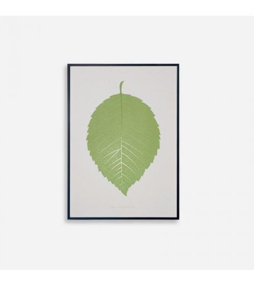Poster - SOULeaf - Orme ilsangisang Posters design suisse original