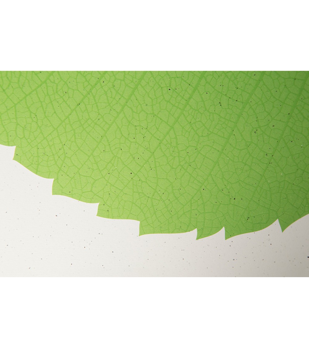 SOULeaf Orme - Poster ilsangisang mural affiche posters muraux design deco salon cuisine chambre enfant
