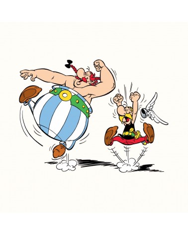 Obelix - Calze Asterix e Obelix Label Chaussette calze da uomo per donna divertenti simpatici particolari