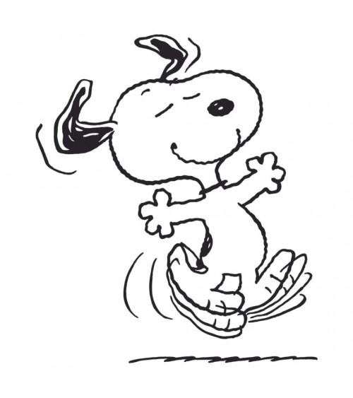 Be Snoopy - Calze Corte Donna e Uomo, Calzini Bassi Besocks calze da uomo per donna divertenti simpatici particolari