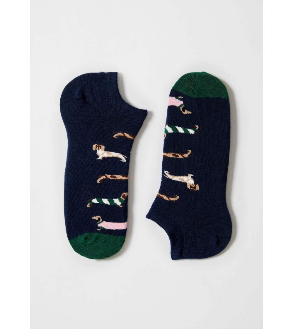BePets - Ankle sock for women & men - Dog pattern, Dachshund Besocks funny crazy cute cool best pop socks for women men