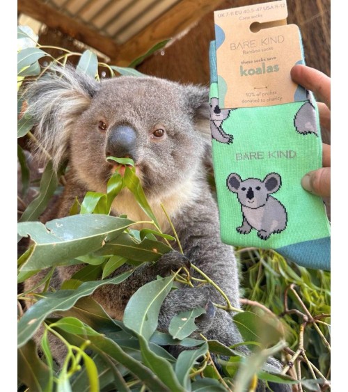 Sauvez les Koalas - Chaussettes en bambou Bare Kind jolies pour femme originales pour homme chausset rigolotes drole Suisse