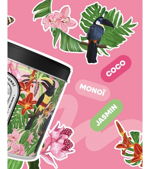 N°61 Coco Monoï - Natürliche Duftkerze Beste Natürliche Duftkerzen im glas kaufen