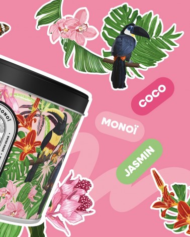 N°61 Coco Monoï - Natürliche Duftkerze Beste Natürliche Duftkerzen im glas kaufen