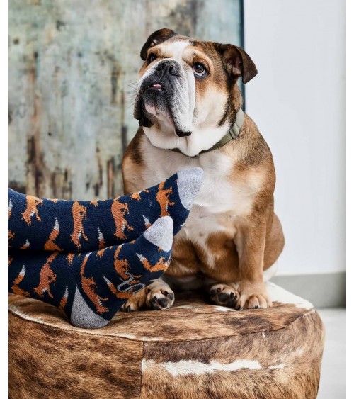 Fox - Wool knee socks for men Catherine Tough funny crazy cute cool best pop socks for women men