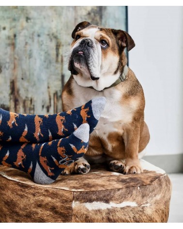 Fuchs - Woll Kniestrümpfe Herren Catherine Tough socke kuschelsocken für damen lustig herren farbige coole socken