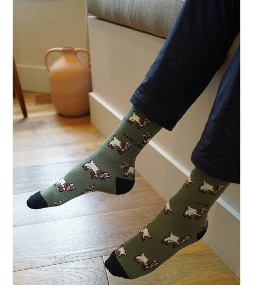 Sauvez les chèvres - Chaussettes en bambou Bare Kind jolies pour femme originales pour homme chausset rigolotes drole Suisse