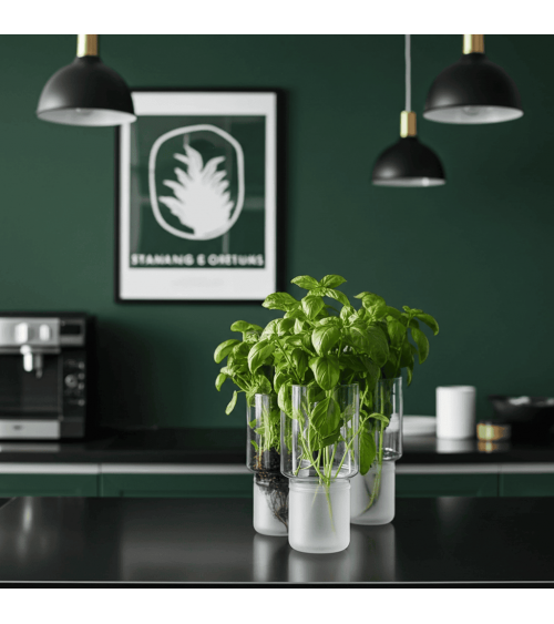 Kräutertopf - Greenhouse Serax Schweiz kaufen
