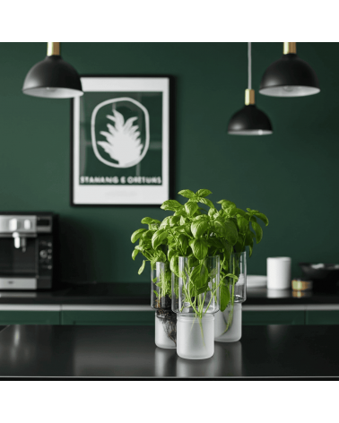 Herb pot - Greenhouse Serax