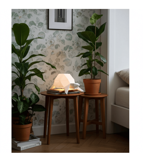 Turtle - Animal lighting, table & bedside lamp Plizoo light for living room bedroom kitchen original designer