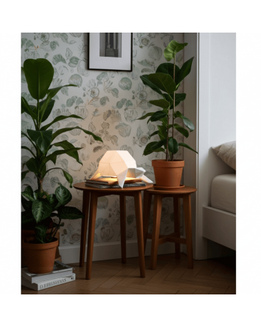 Turtle - Animal lighting, table & bedside lamp Plizoo light for living room bedroom kitchen original designer