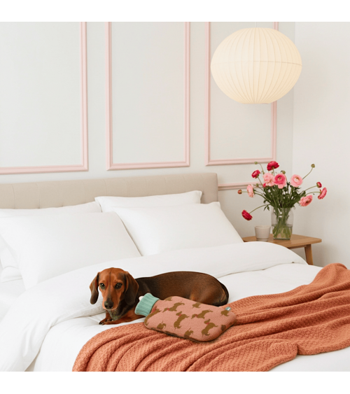 Sausage Dogs - Small Hot water bottle with wool cover Catherine Tough best luxury cool nice cute portable