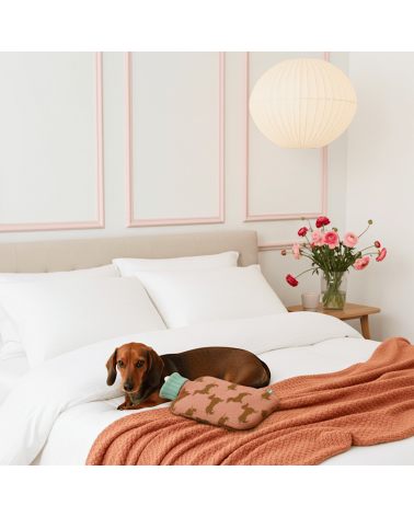 Sausage Dogs - Small Hot water bottle with wool cover Catherine Tough best luxury cool nice cute portable