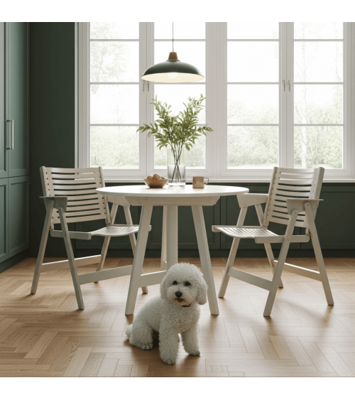 REX Chair by Niko Kralj - Sedia vintage pieghevole in legno kitatori mobili Oggetto di design vintage svizzera