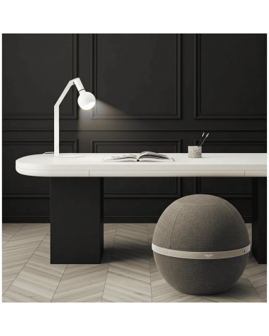 Bloon Original Taupe - Design sitting ball yoga excercise balance ball chair for office