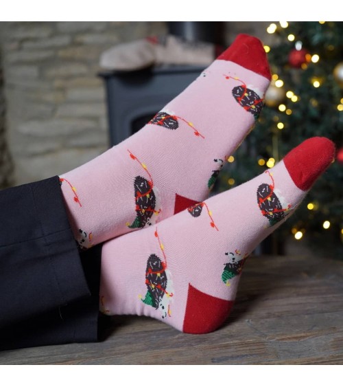 Save the Hedgehogs - Christmas Bamboo Socks Bare Kind funny crazy cute cool best pop socks for women men