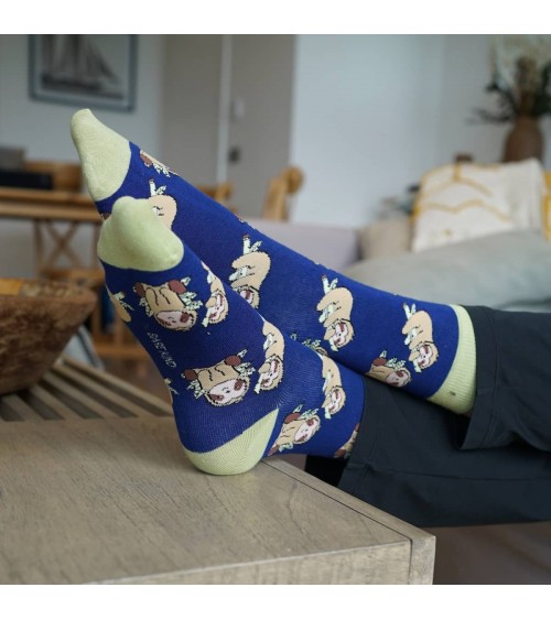 Save the Sloths - Bamboo Socks Bare Kind funny crazy cute cool best pop socks for women men