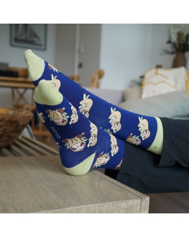 Save the Sloths - Bamboo Socks Bare Kind funny crazy cute cool best pop socks for women men