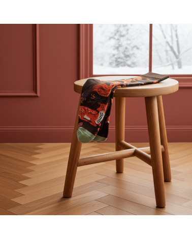 Chaussettes Animaux Terre d'Ombre Bonne Maison jolies pour femme originales pour homme chausset rigolotes drole Suisse