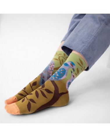 Tourterelle Absinthe - Chaussettes en coton égyptien Bonne Maison jolies pour femme originales pour homme chausset rigolotes ...