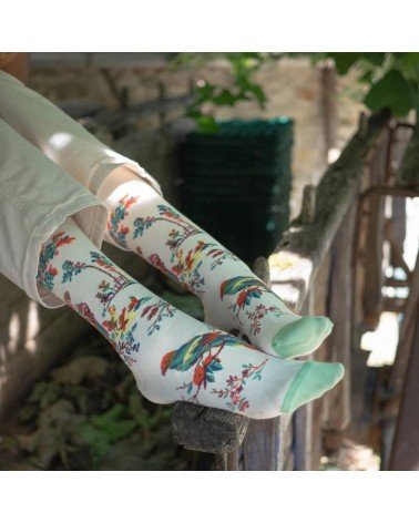 La Jardinière Naturel - Chaussettes en coton égyptien Bonne Maison jolies pour femme originales pour homme chausset rigolotes...