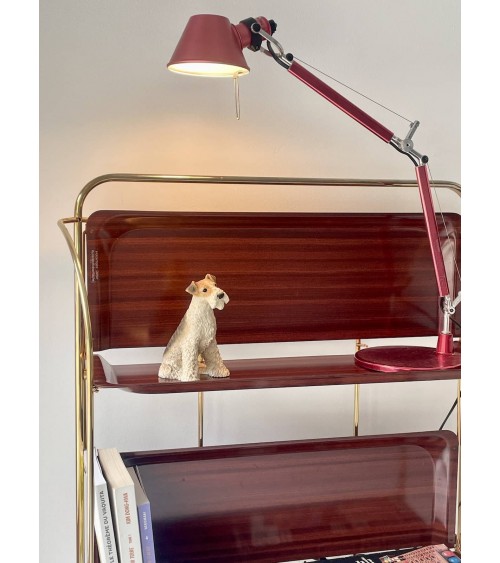 Gerlinol Dinett - Carrello portavivande vintage kitatori mobili Oggetto di design vintage svizzera Gerlinol Dinett - Carrello portavivande vintage kitatori mobili Oggetto di design vintage svizzera