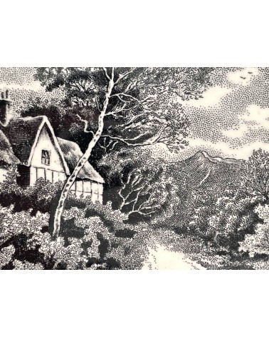 Piatto fondo vintage - Landschap kitatori mobili Oggetto di design vintage svizzera
