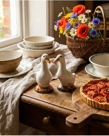 Anatra - Saliera e pepiera Quail Ceramics design da tavola saliera e pepiera
