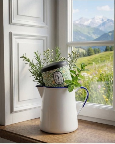 N°83 Génépi - Natürliche Duftkerze mit Sojawachs Beste Natürliche Duftkerzen im glas kaufen