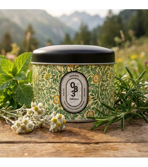 N°83 Genepì - Candela profumata naturale artigianale migliori candele profumate artigianali particolari