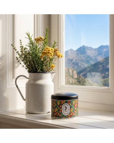 N°90 Corsican Maquis - Natural handmade scented candle handmade good smelling candles shop store