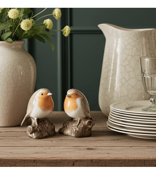 Robin - Salt and Peppers Quail Ceramics pots set shaker cute unique cool